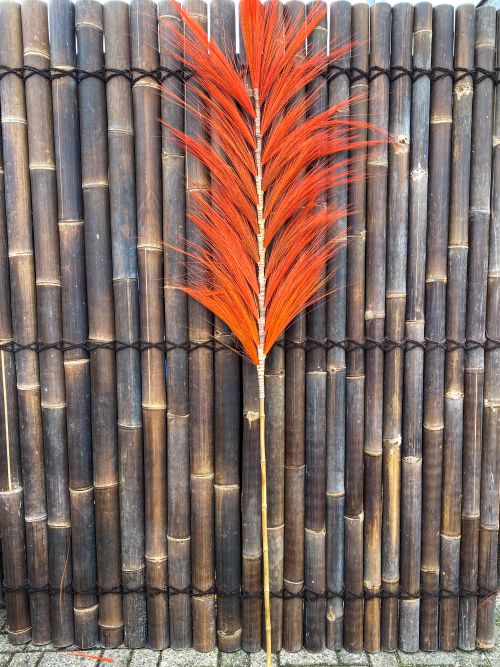 Pampas pluimen twin 220x60 cm Bright orange